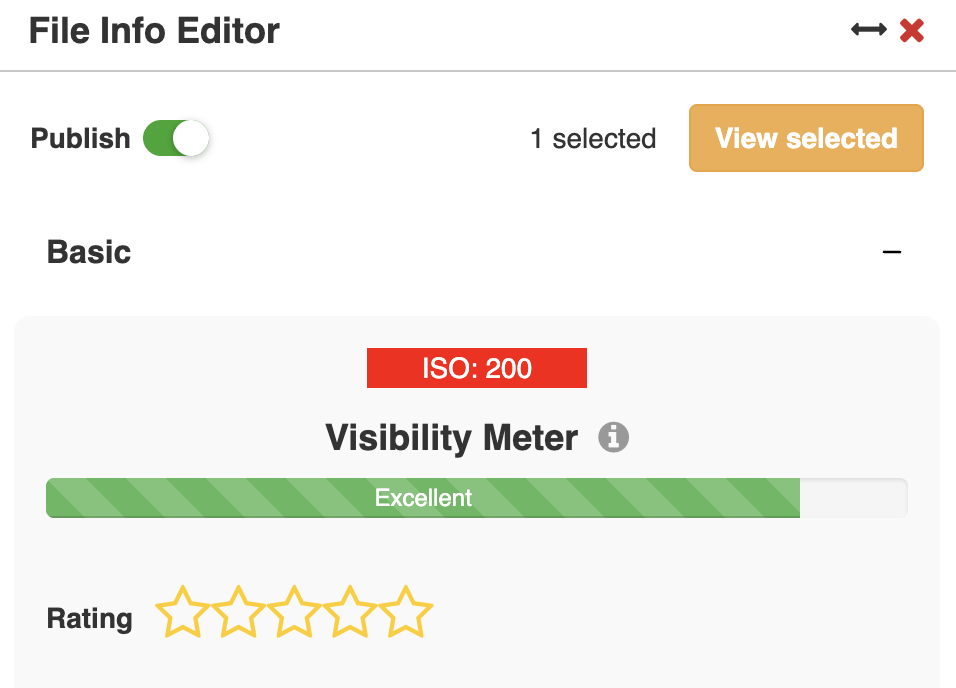 Visibility meter.png